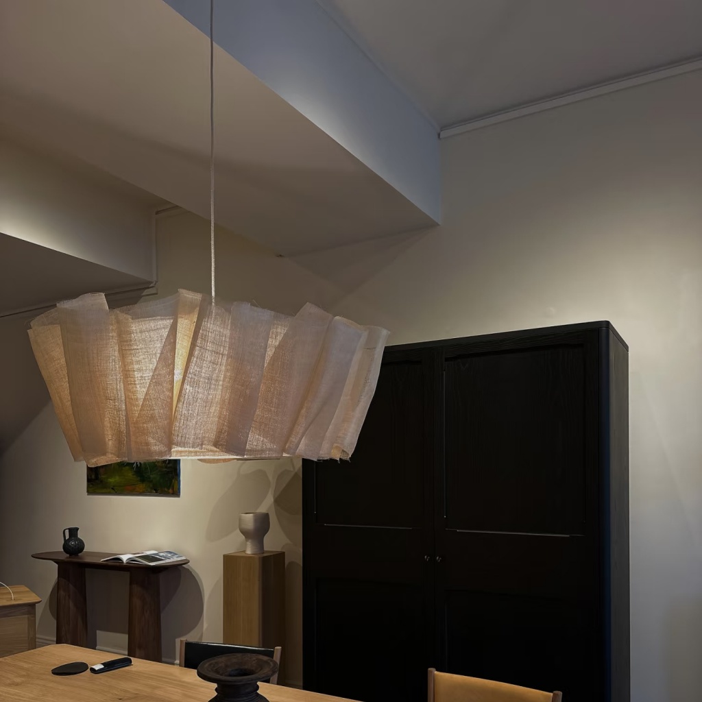 Meva pendant light in Brian home