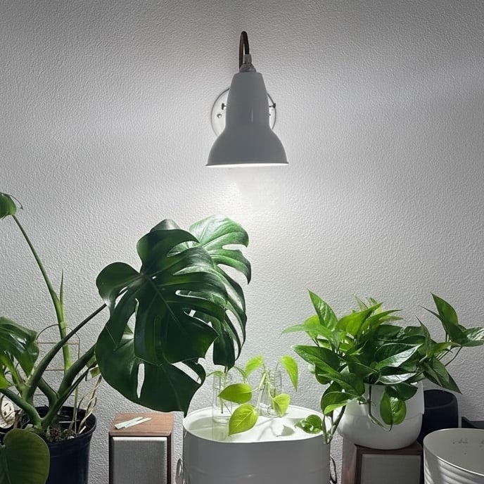 Customer room photo with Modryx wall light above plants